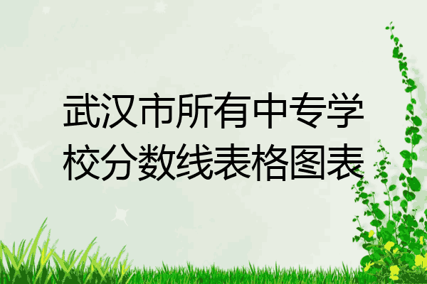 武汉市所有中专学校分数线表格图表