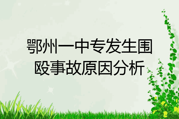 鄂州一中专发生围殴事故原因分析