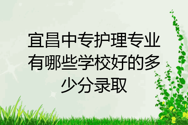 宜昌中专护理专业有哪些学校好的多少分录取
