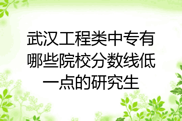 武汉工程类中专有哪些院校分数线低一点的研究生