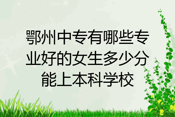 鄂州中专有哪些专业好的女生多少分能上本科学校