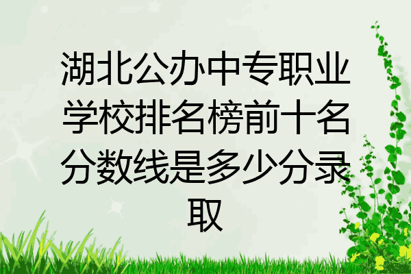 湖北公办中专职业学校排名榜前十名分数线是多少分录取