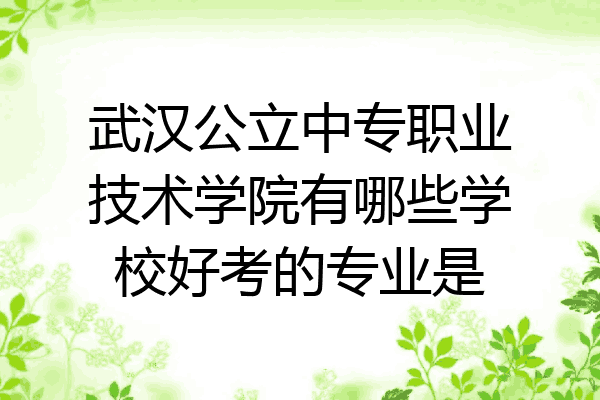 武汉公立中专职业技术学院有哪些学校好考的专业是