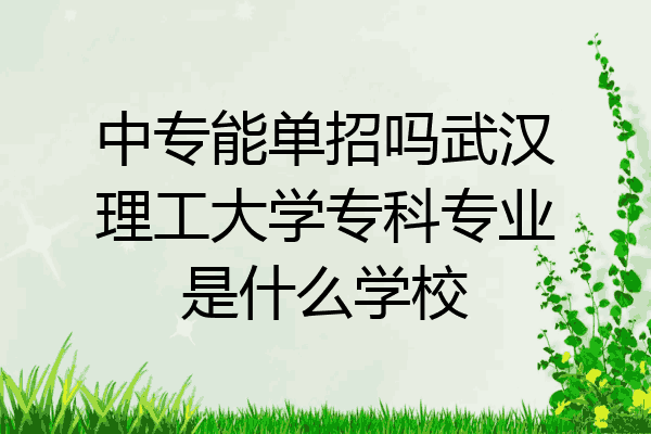 中专能单招吗武汉理工大学专科专业是什么学校