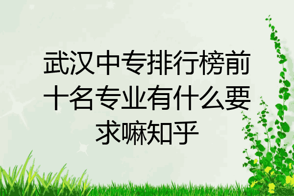 武汉中专排行榜前十名专业有什么要求嘛知乎