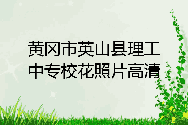 黄冈市英山县理工中专校花照片高清