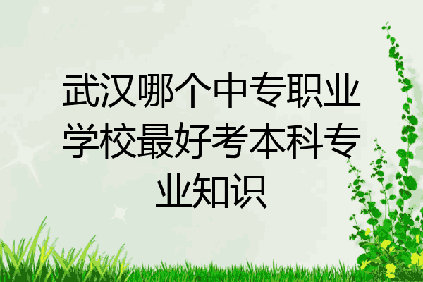 武汉哪个中专职业学校最好考本科专业知识