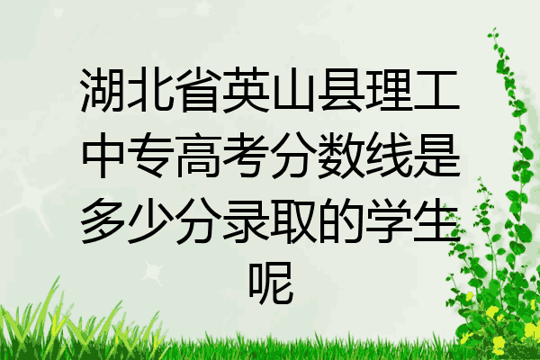 湖北省英山县理工中专高考分数线是多少分录取的学生呢