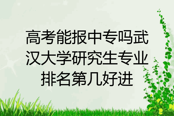 高考能报中专吗武汉大学研究生专业排名第几好进