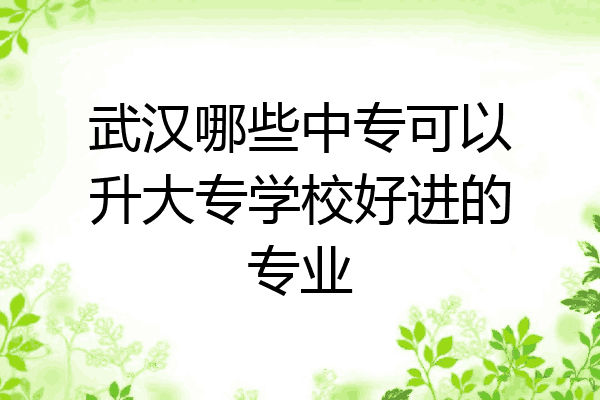 武汉哪些中专可以升大专学校好进的专业