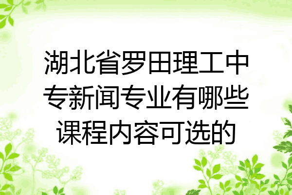 湖北省罗田理工中专新闻专业有哪些课程内容可选的