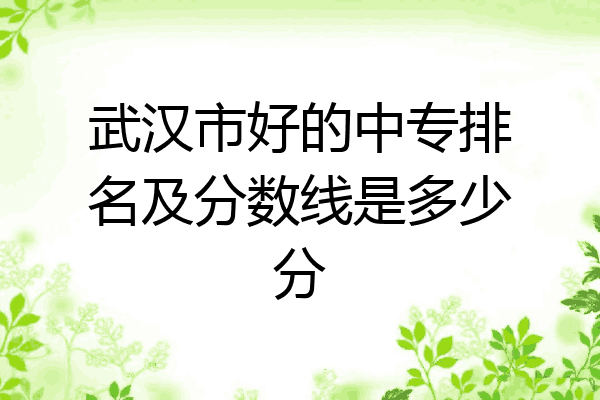 武汉市好的中专排名及分数线是多少分
