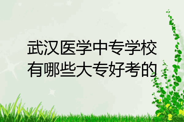 武汉医学中专学校有哪些大专好考的