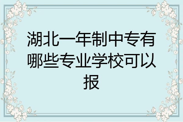 湖北一年制中专有哪些专业学校可以报