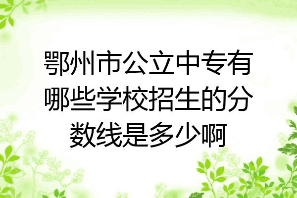 鄂州市公立中专有哪些学校招生的分数线是多少啊