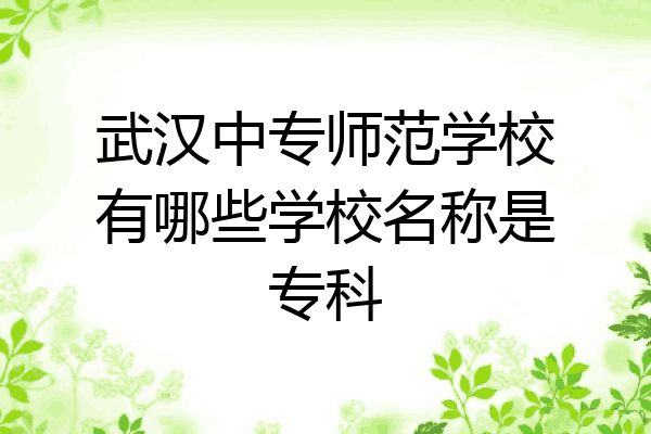 武汉中专师范学校有哪些学校名称是专科