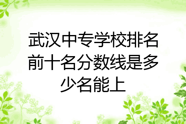 武汉中专学校排名前十名分数线是多少名能上