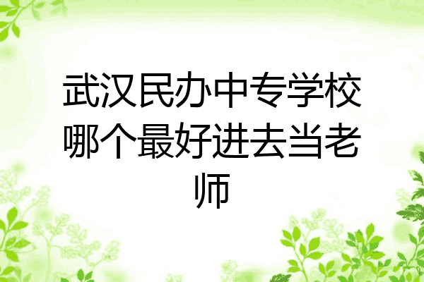 武汉民办中专学校哪个最好进去当老师
