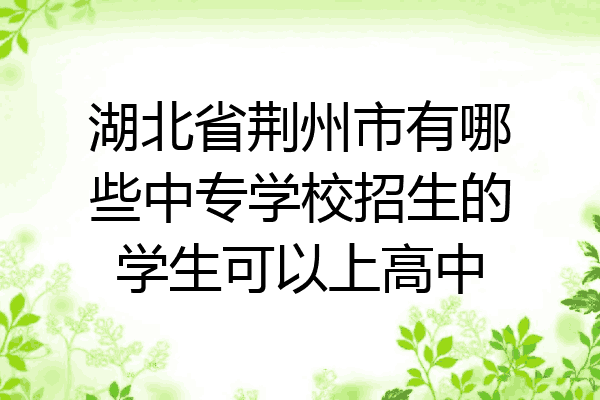 湖北省荆州市有哪些中专学校招生的学生可以上高中