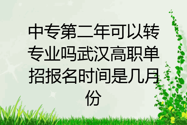 中专第二年可以转专业吗武汉高职单招报名时间是几月份