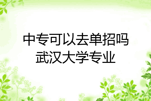 中专可以去单招吗武汉大学专业