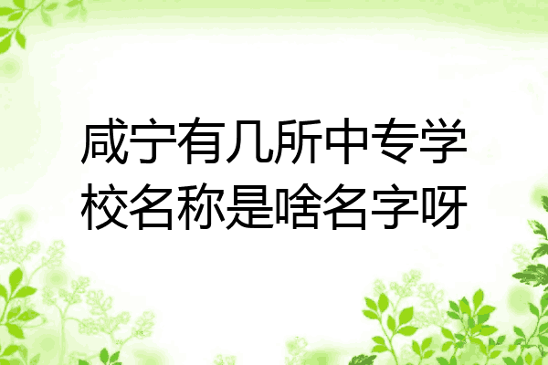 咸宁有几所中专学校名称是啥名字呀