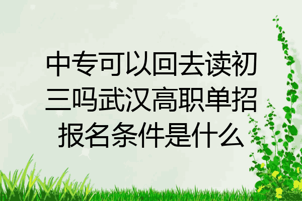 中专可以回去读初三吗武汉高职单招报名条件是什么