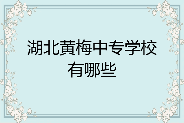 湖北黄梅中专学校有哪些