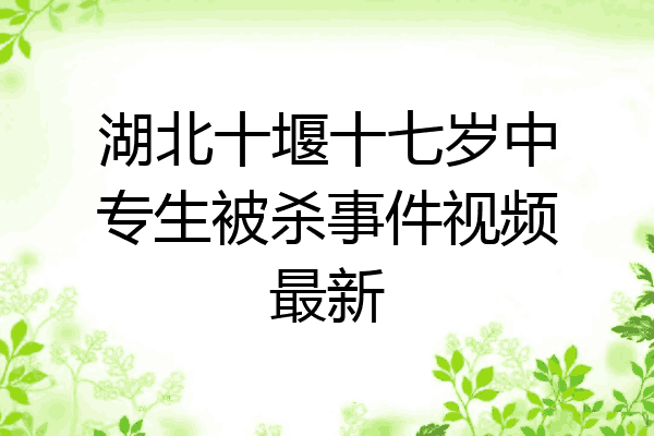 湖北十堰十七岁中专生被杀事件视频最新