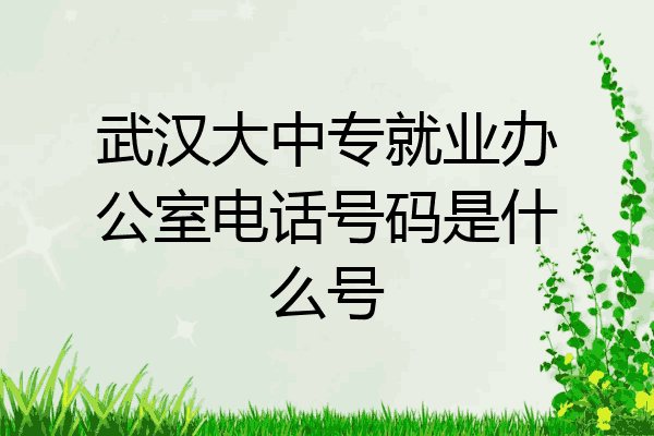 武汉大中专就业办公室电话号码是什么号