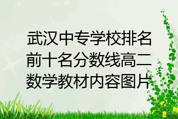 武汉中专学校排名前十名分数线高二数学教材内容图片
