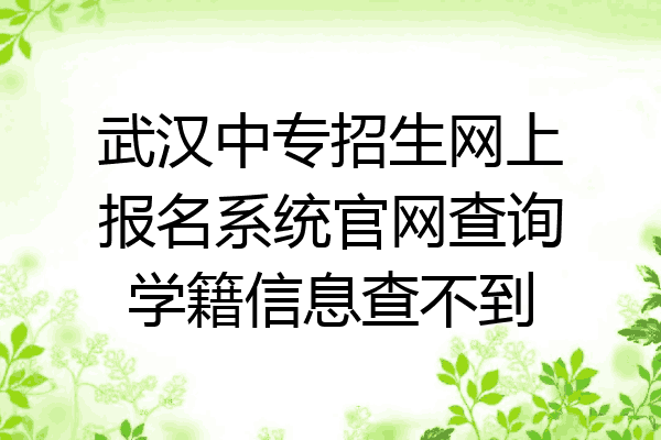 武汉中专招生网上报名系统官网查询学籍信息查不到