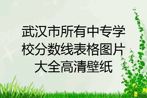 武汉市所有中专学校分数线表格图片大全高清壁纸