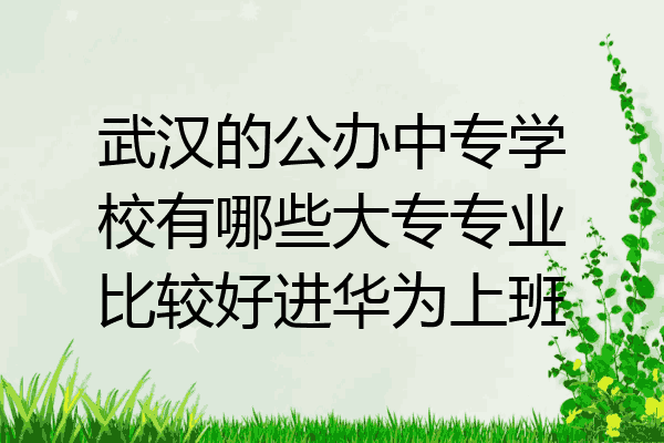 武汉的公办中专学校有哪些大专专业比较好进华为上班