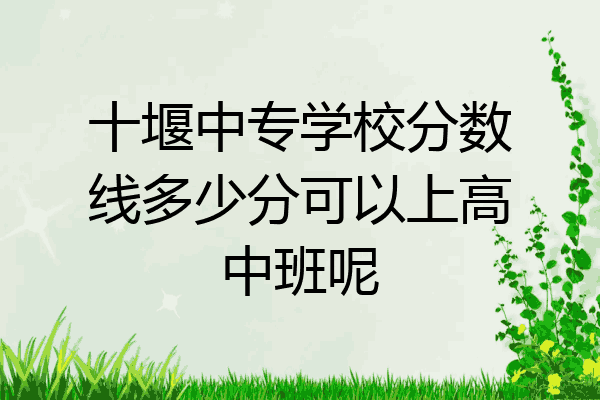 十堰中专学校分数线多少分可以上高中班呢
