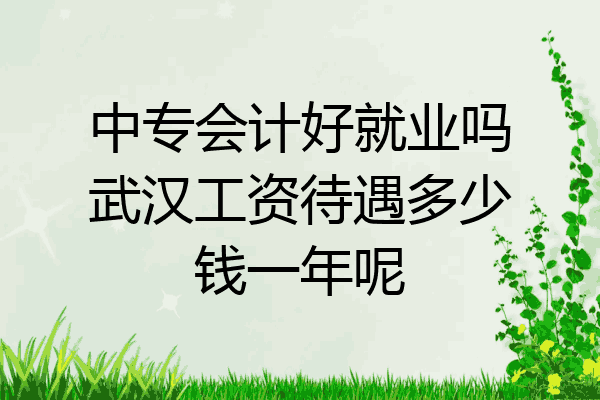 中专会计好就业吗武汉工资待遇多少钱一年呢