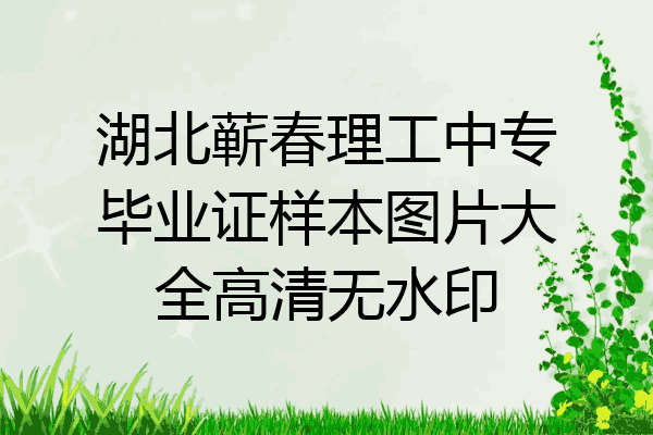 湖北蕲春理工中专毕业证样本图片大全高清无水印