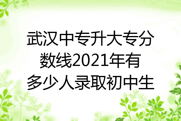 武汉中专升大专分数线2021年有多少人录取初中生