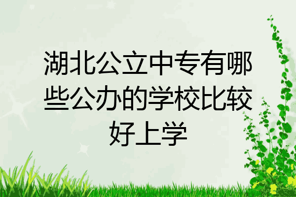 湖北公立中专有哪些公办的学校比较好上学