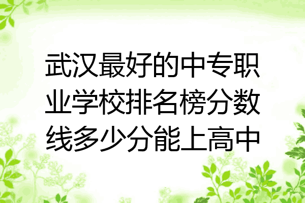 武汉最好的中专职业学校排名榜分数线多少分能上高中