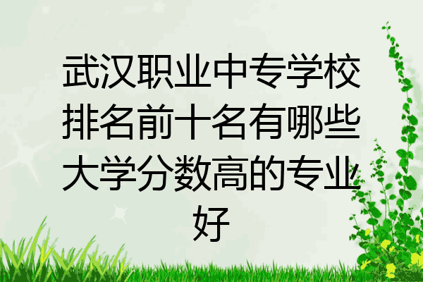 武汉职业中专学校排名前十名有哪些大学分数高的专业好