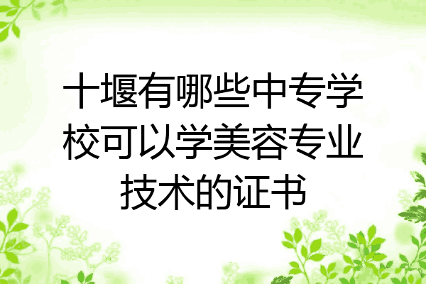 十堰有哪些中专学校可以学美容专业技术的证书