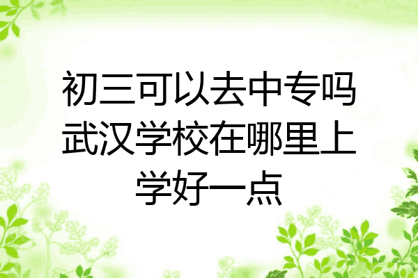初三可以去中专吗武汉学校在哪里上学好一点
