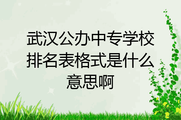 武汉公办中专学校排名表格式是什么意思啊