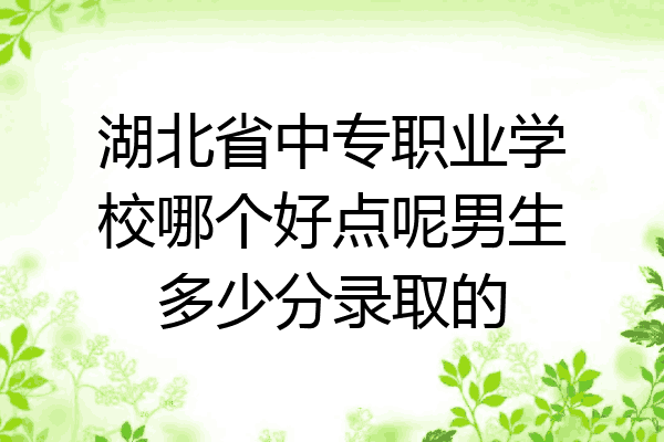 湖北省中专职业学校哪个好点呢男生多少分录取的