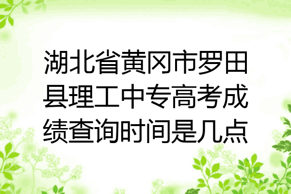 湖北省黄冈市罗田县理工中专高考成绩查询时间是几点