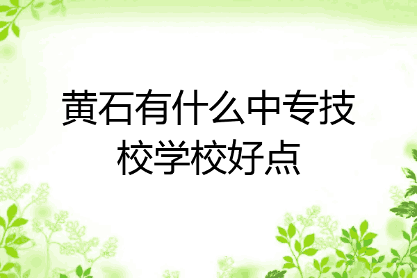 黄石有什么中专技校学校好点