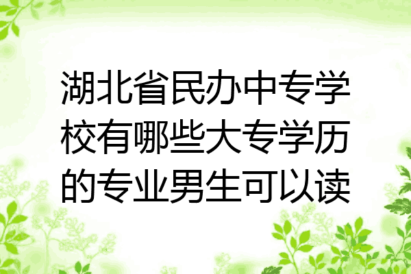 湖北省民办中专学校有哪些大专学历的专业男生可以读