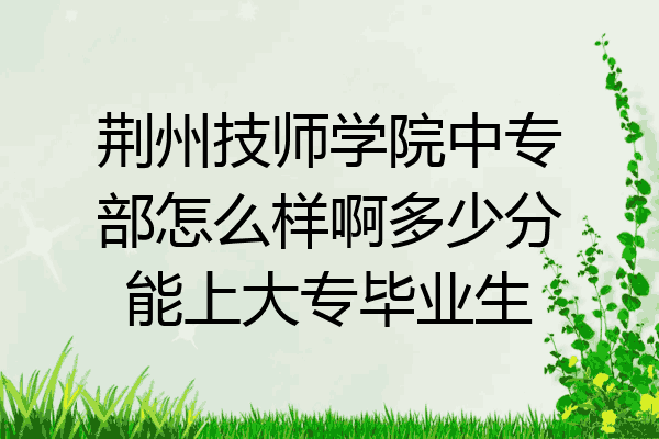 荆州技师学院中专部怎么样啊多少分能上大专毕业生