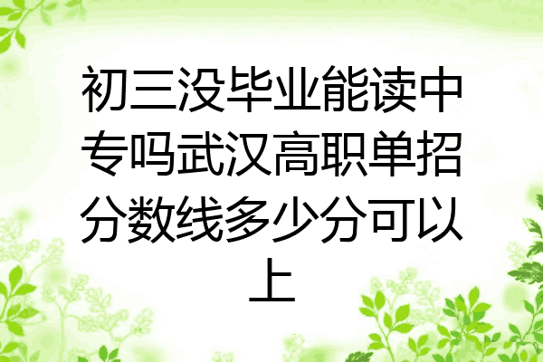 初三没毕业能读中专吗武汉高职单招分数线多少分可以上